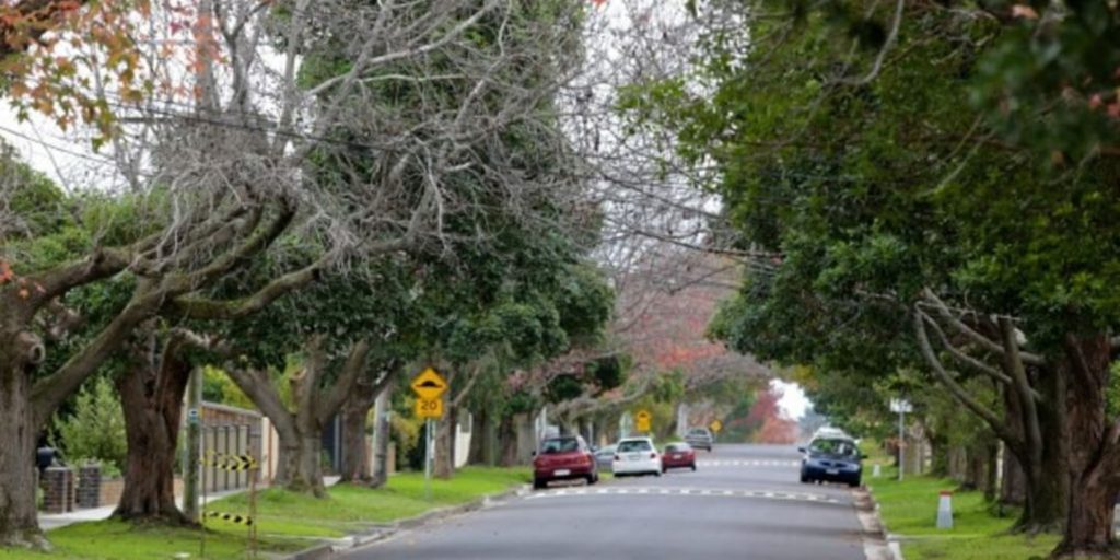 Living in Bentleigh East suburb